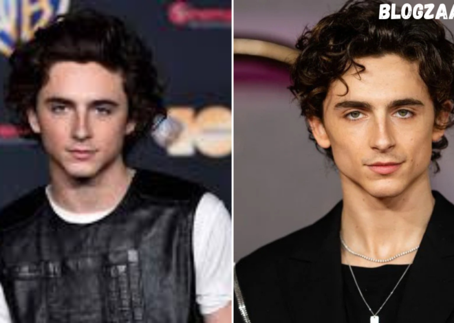 Timothée Chalamet Movies A Complete Deep Dive into His Film Career, Roles (timothy shalloway movies)