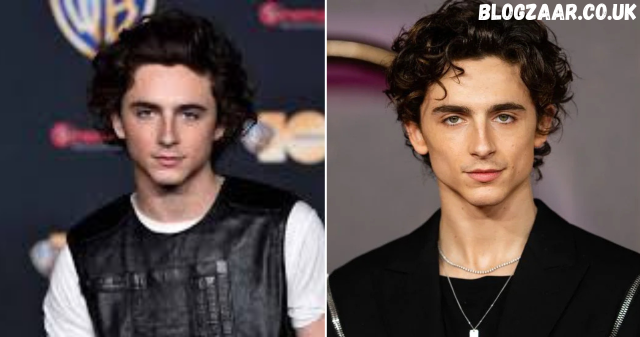 Timothée Chalamet Movies A Complete Deep Dive into His Film Career, Roles (timothy shalloway movies)